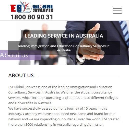 blue-nework-portfolio-esiglobal